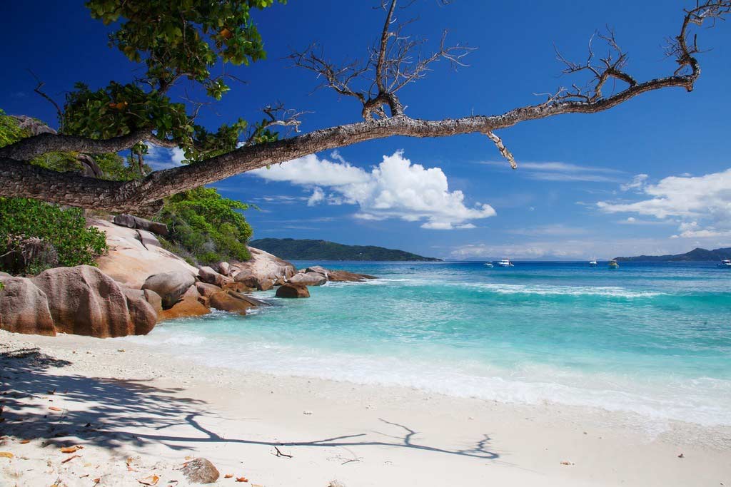Seychelles Dubai Visa Guide How To Apply For Dubai Visa insight-investing-foundation-circle-platform-the-creator-how-to
