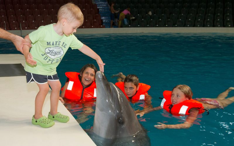 Dolphins at Palm Atlantis