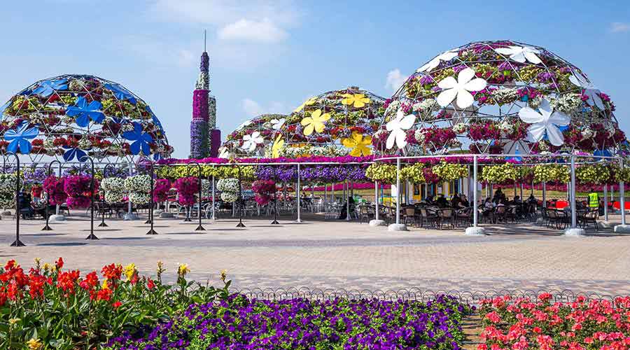 miracle garden dubai city