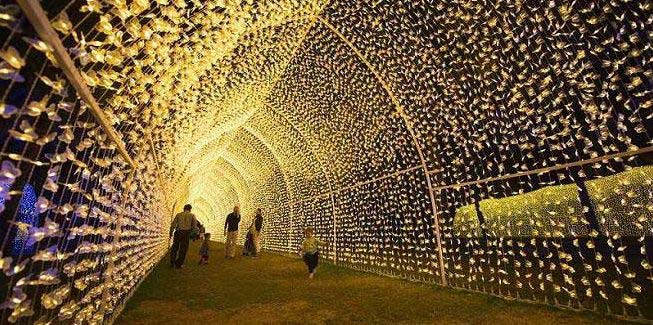 palm oasis in sharjah festival