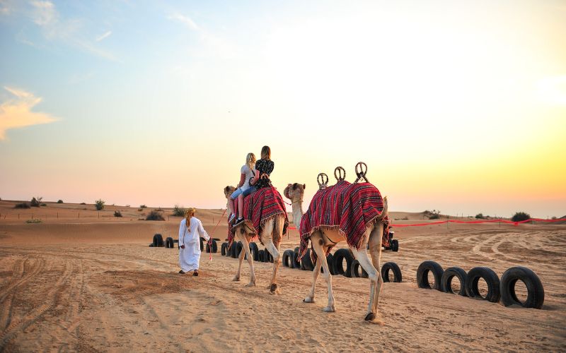 camel riding