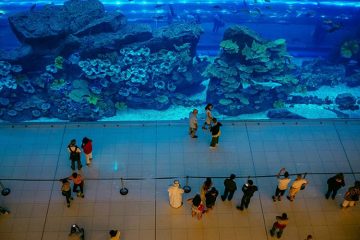 Dubai Aquarium