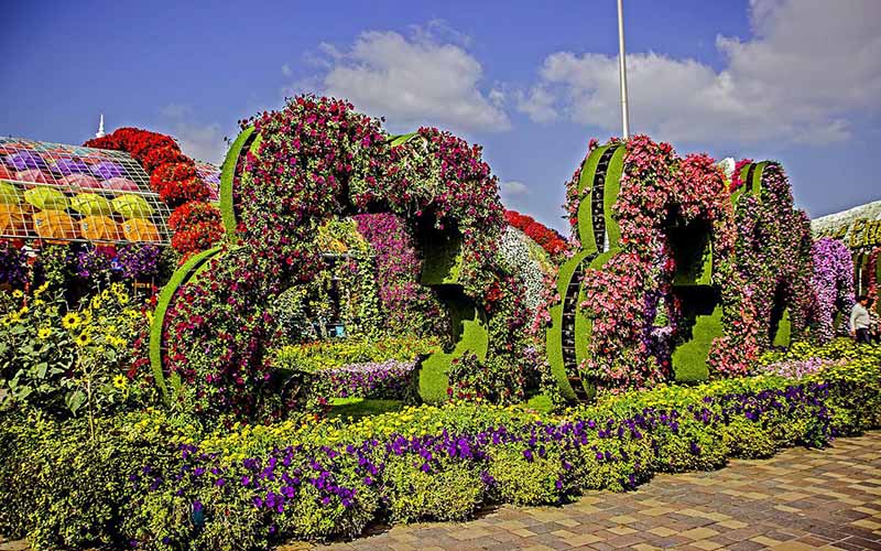 The Dubai Miracle Garden in a nutshell