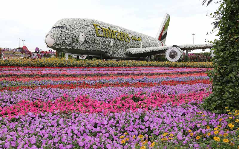The Emirates A380- Miracle Garden