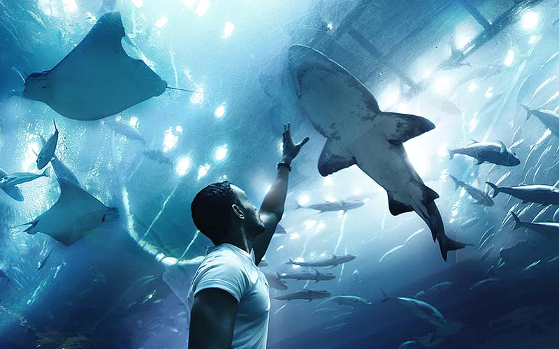 dubai underwater zoo