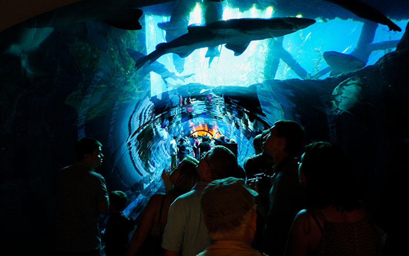 Dubai Aquarium