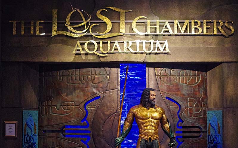 The Lost Chambers Aquarium Dubai Guide – Ticket Price, Timings
