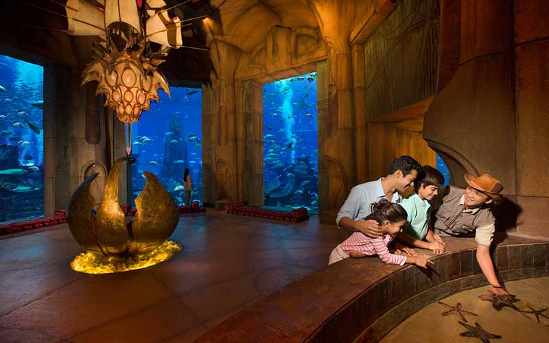 Complete Guide About The Lost Chambers Aquarium Dubai Complete Guide About The Lost Chambers Aquarium Dubai